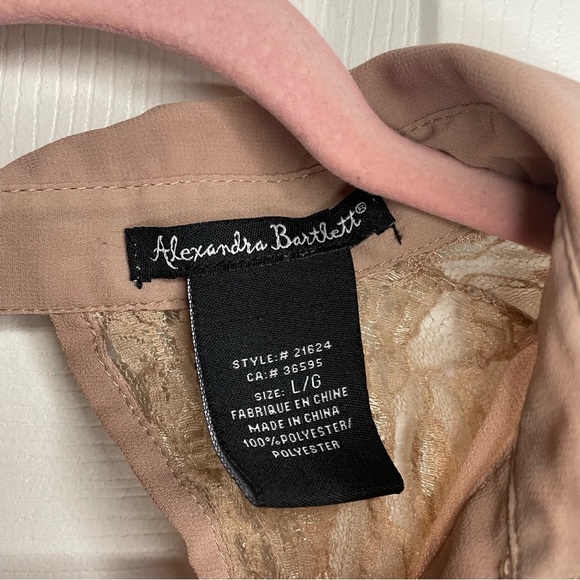⭐️(Large) Alexandra Bartlett nude collared button down blouse - Picture 3 of 5